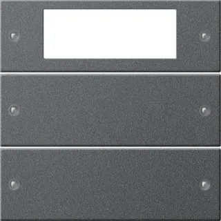 Gira Set 219228 2fach Plus System 55 anthrazit