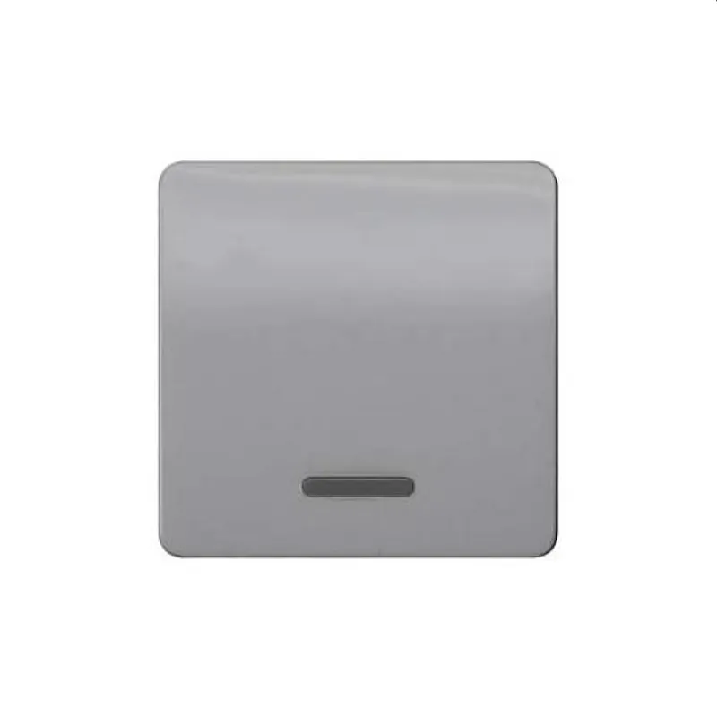 Siemens Wippe mit Fenster silber 5TG7920