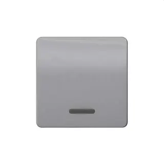 Siemens Wippe mit Fenster silber 5TG7920