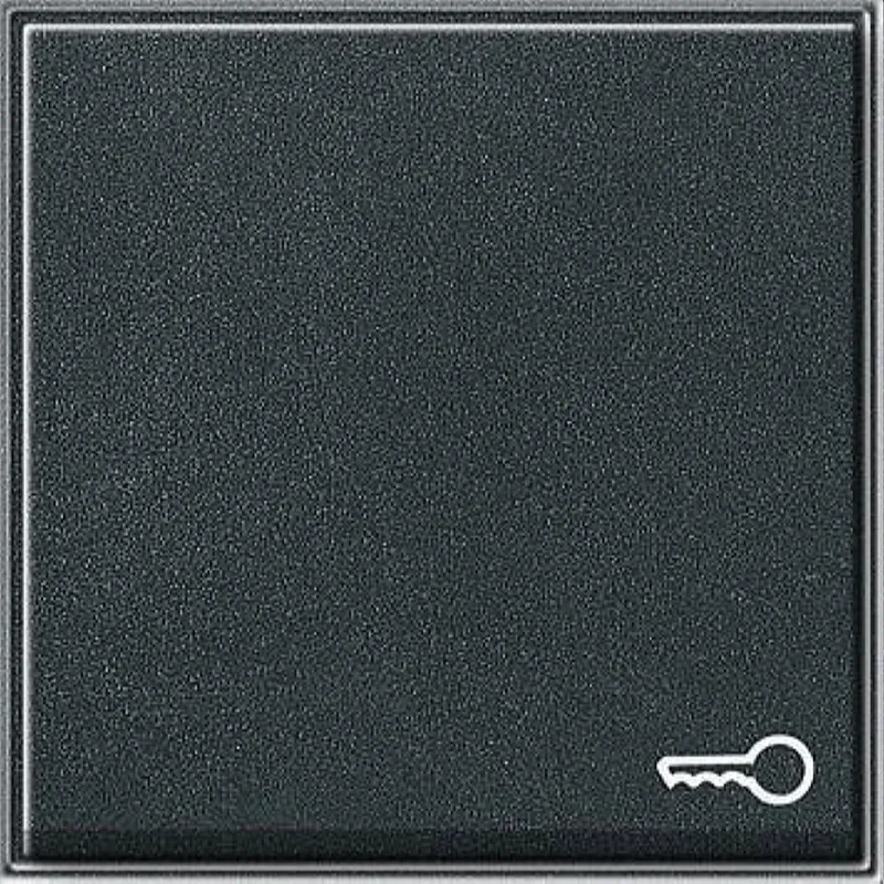 Gira Wippe 028767 Symbol Tuer TX_44 WG UP anthrazit