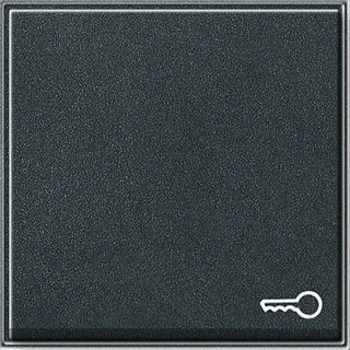 Gira Wippe 028767 Symbol Tuer TX_44 WG UP anthrazit