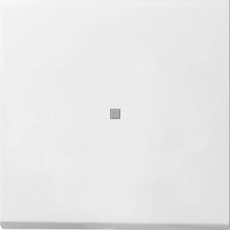 Gira Wippe 0914112 Tasts Kontroll Flaeche rw