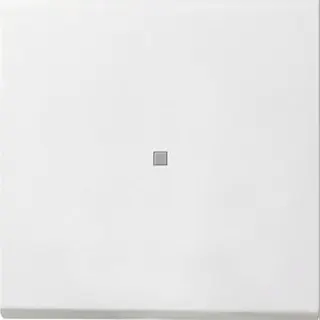 Gira Wippe 0914112 Tasts Kontroll Flaeche rw