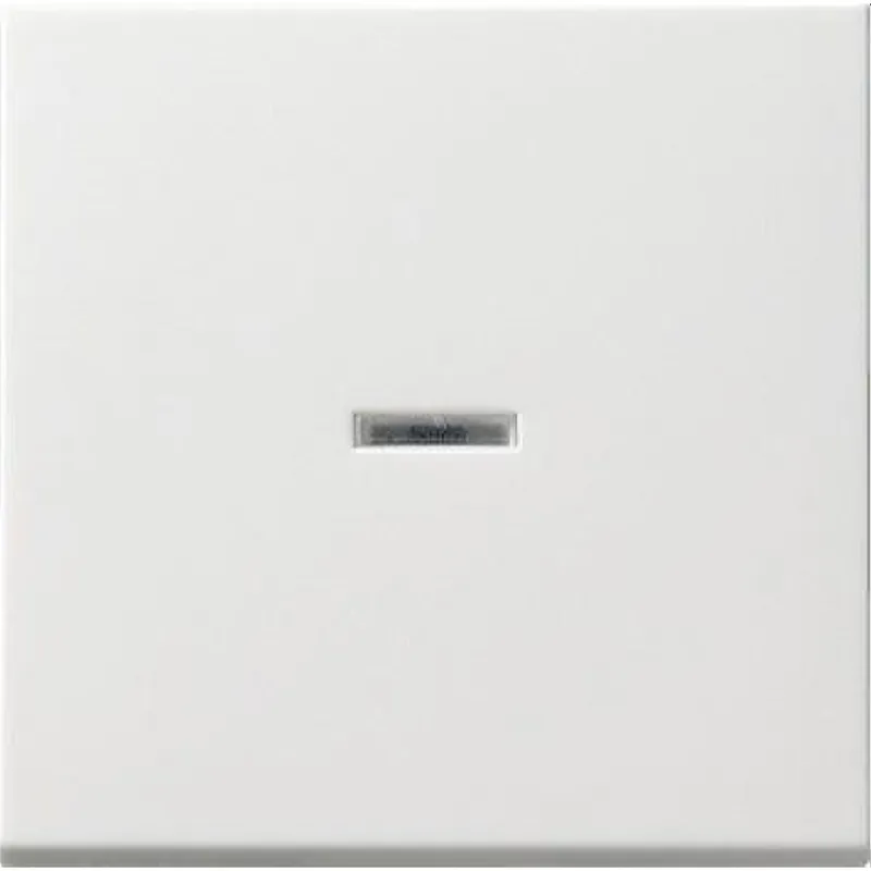 Gira Wippe 091403 Tasts Kontroll System 55 rw