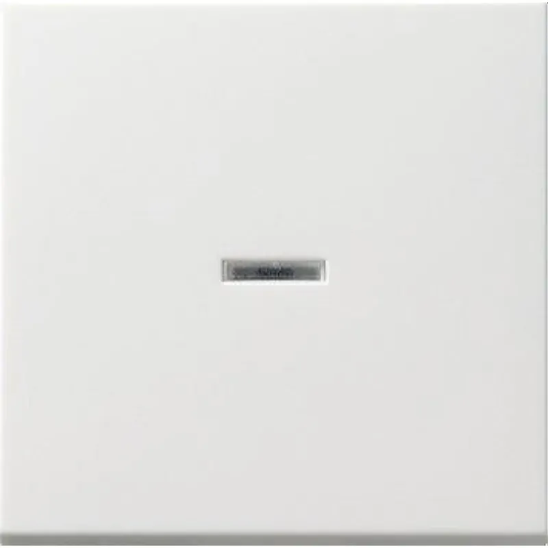 Gira Wippe 091427 Tasts Kontroll System 55 rw matt