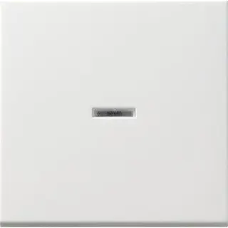 Gira Wippe 091427 Tasts Kontroll System 55 rw matt