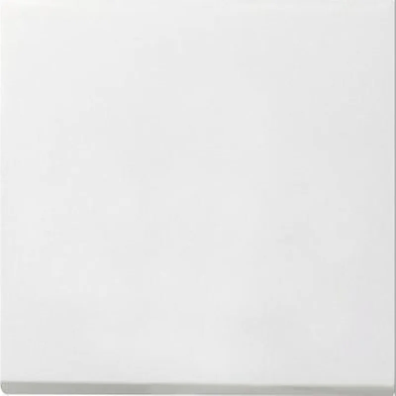 Gira Wippe 0916112 Tasts. Wechsel Flaeche reinweiss