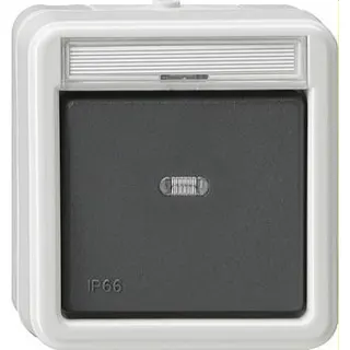 Gira Wippschalter 010731 Kreuzschalter WD AP grau