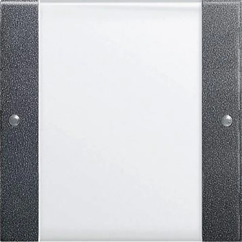Gira Set 213128 1fach BSF System 55 Klar/ant