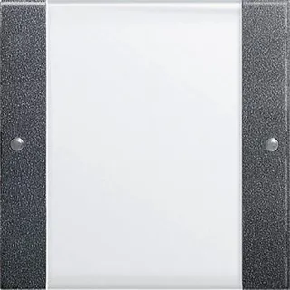 Gira Set 213128 1fach BSF System 55 Klar/ant