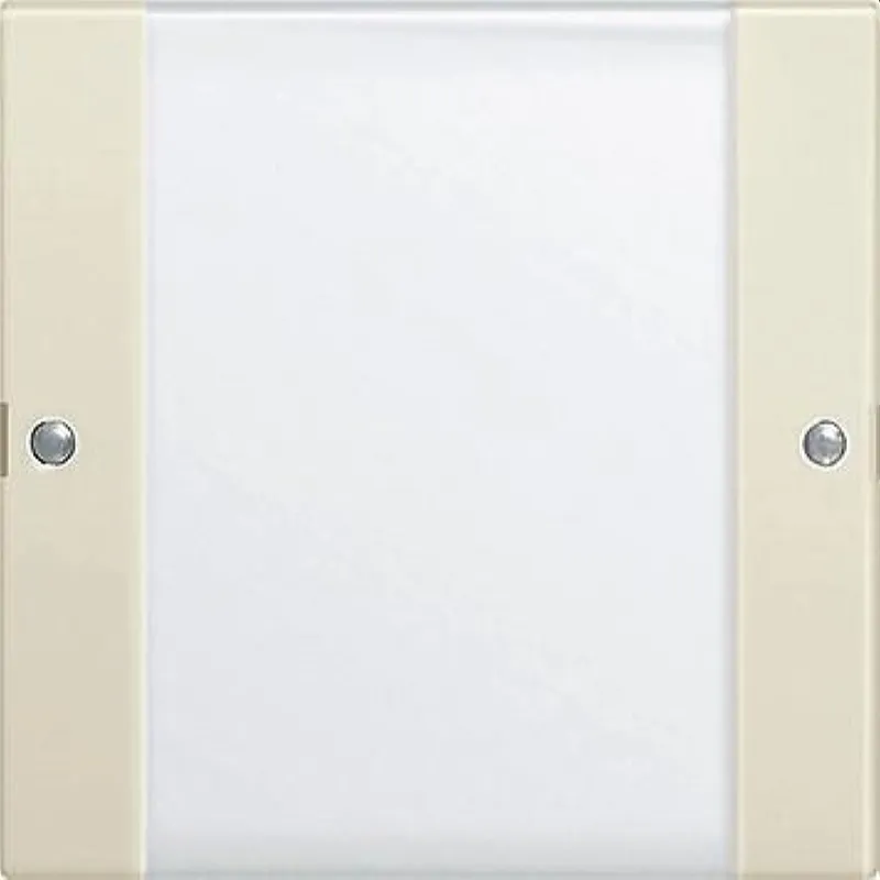 Gira Set 213101 1fach BSF System 55 Klar/cw