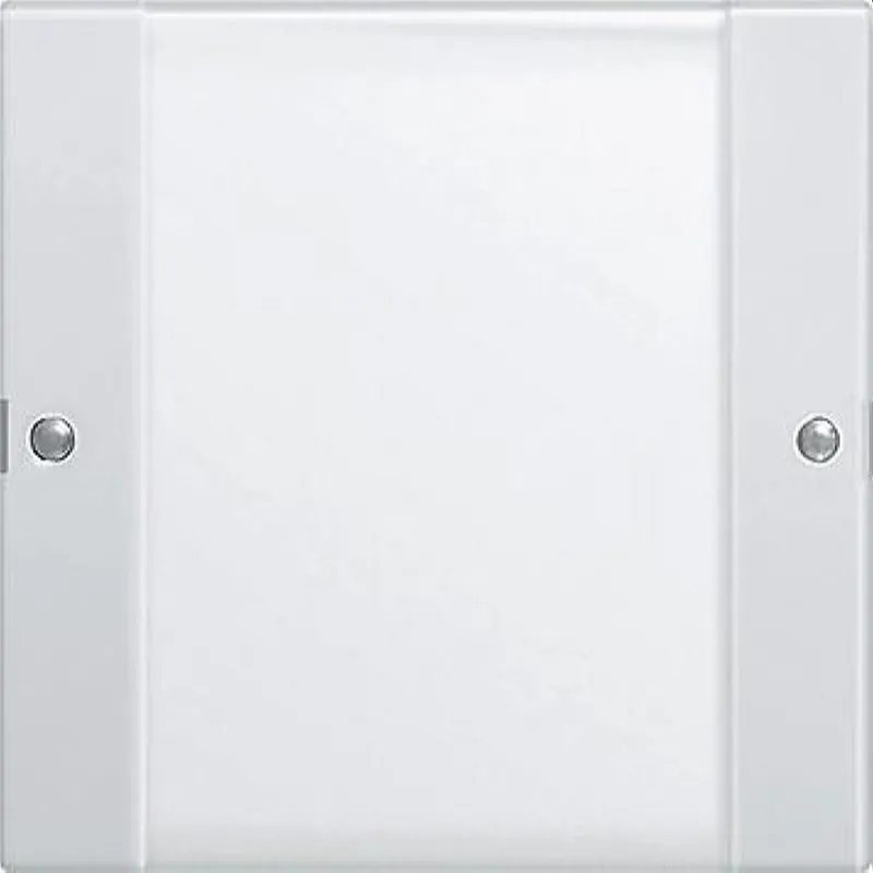 Gira Set 213103 1fach BSF System 55 Klar/rw