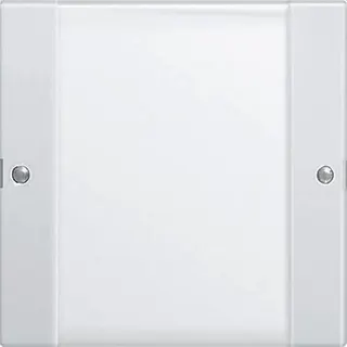 Gira Set 213103 1fach BSF System 55 Klar/rw