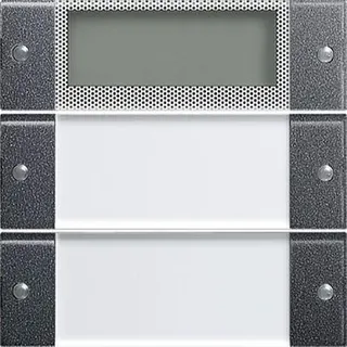 Gira Set 214228 2fach Plus BSF System 55 Klar/ant