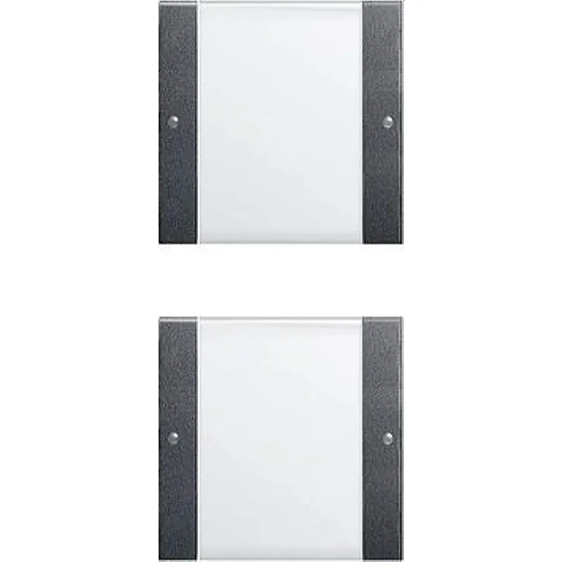 Gira Set 213228 2fach BSF System 55 Klar/ant