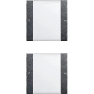 Gira Set 213228 2fach BSF System 55 Klar/ant