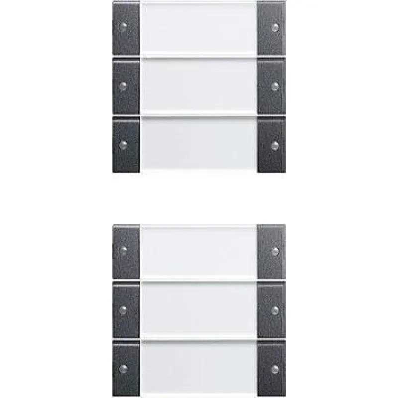 Gira Set 213628 6fach BSF System 55 Klar/ant