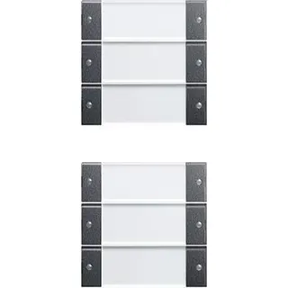 Gira Set 213628 6fach BSF System 55 Klar/ant