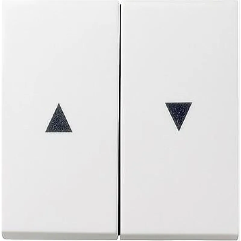 Gira Serienwippe 029427 Pfeilsymbol System 55 rw matt