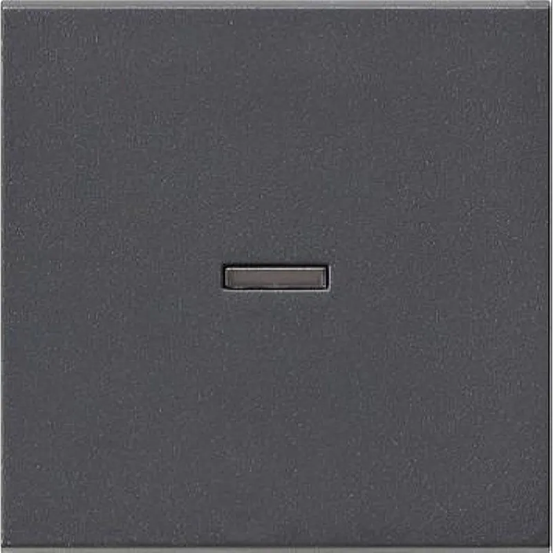 Gira Wippe 029028 Kontrollfenster System 55 ant