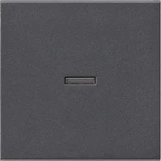 Gira Wippe 029028 Kontrollfenster System 55 ant