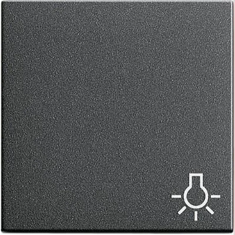 Gira Wippe 028528 Symbol Licht System 55 anthrazit
