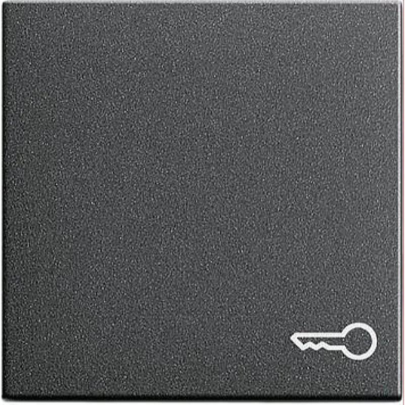 Gira Wippe 028728 Symbol Tuer System 55 anthrazit