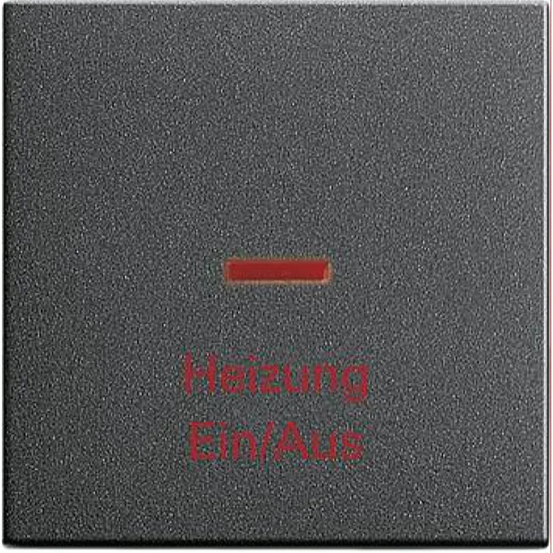 Gira Wippe 067828 Kontroll Heizung System 55 ant