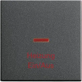 Gira Wippe 067828 Kontroll Heizung System 55 ant