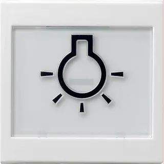 Gira Wippe 021627 abtastbar Symbol Licht Sys55 rw m