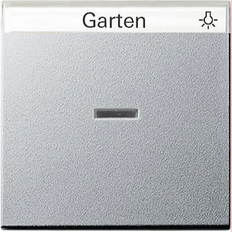 Gira Wippe 067026 Kontroll BSF System 55 Farbe Alu