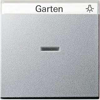 Gira Wippe 067026 Kontroll BSF System 55 Farbe Alu
