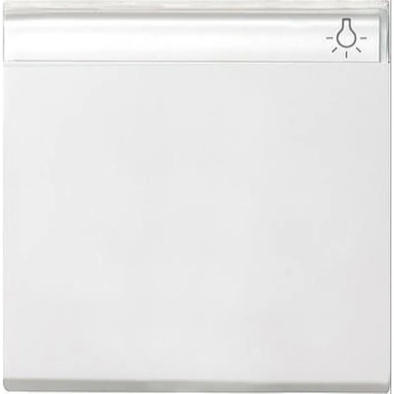 Gira Wippe 029927 BSF System 55 reinweiss matt