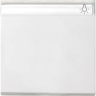 Gira Wippe 029927 BSF System 55 reinweiss matt