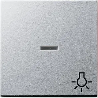 Gira Wippe 067426 Kontroll Sym Licht System 55 Alu