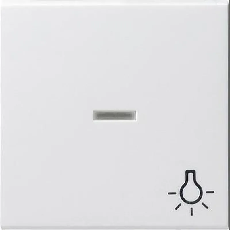 Gira Wippe 067427 Kontroll Sym Licht System 55 rw m