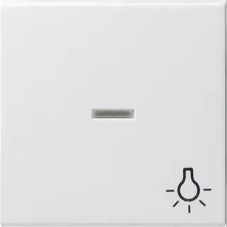 Gira Wippe 067427 Kontroll Sym Licht System 55 rw m