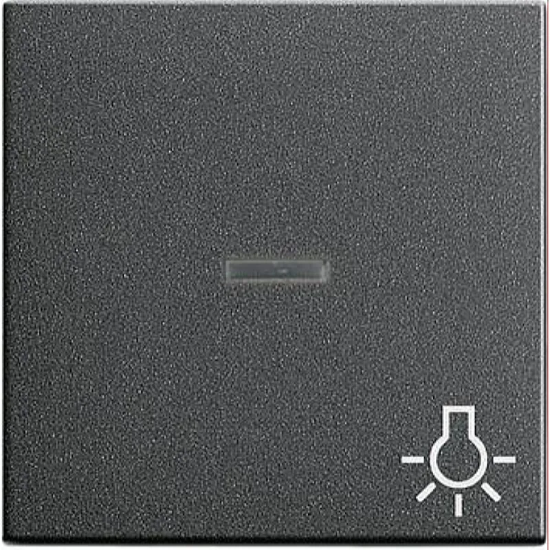 Gira Wippe 067428 Kontroll Sym Licht System 55 ant