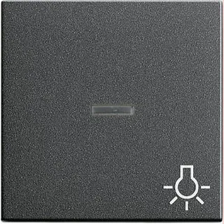 Gira Wippe 067428 Kontroll Sym Licht System 55 ant