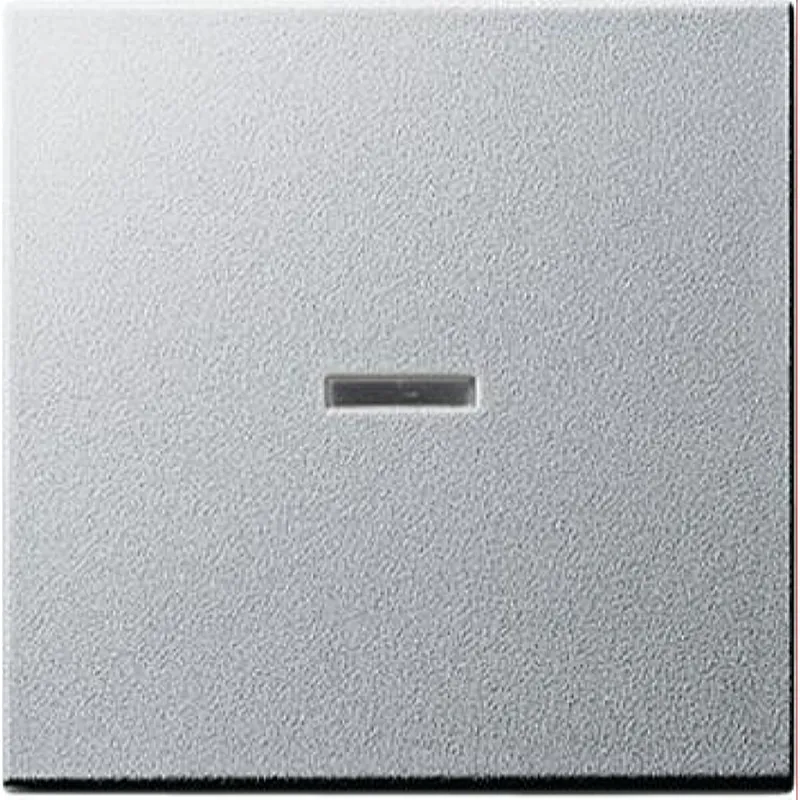 Gira Wippe 029026 Kontrollfenster System 55 Alu