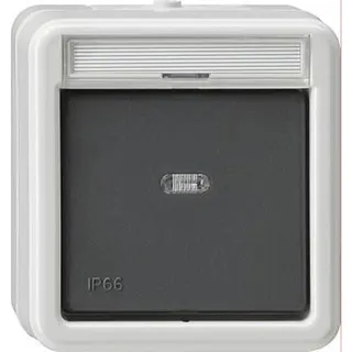 Gira Wippschalter 011231 Aus 2-pol Kontroll WD AP grau