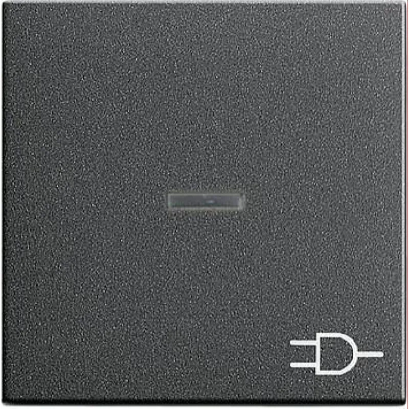 Gira Wippe 020928 Kontroll Sym Steckd. System55 ant