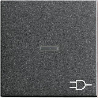 Gira Wippe 020928 Kontroll Sym Steckd. System55 ant