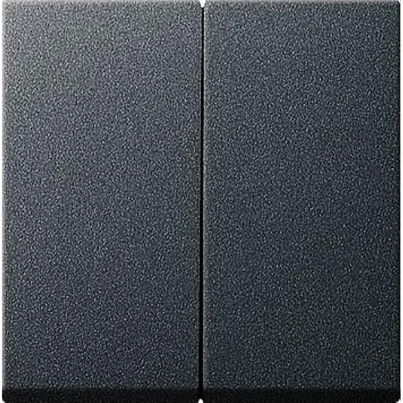 Gira Serienwippe 026628 Set IP44 Standard 55 E2 ant