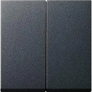 Gira Serienwippe 026628 Set IP44 Standard 55 E2 ant