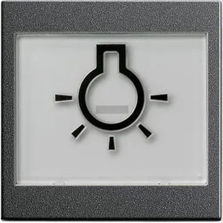 Gira Wippe 021628 abtastbar Symbol Licht Sys55 Ant