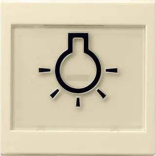 Gira Wippe 021601 abtastbar Symbol Licht Sys55 cw