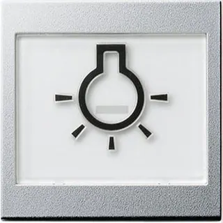 Gira Wippe 021626 abtastbar Symbol Licht Sys55 Alu