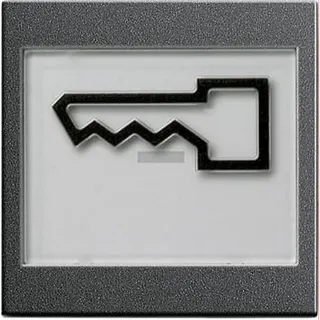 Gira Wippe 021828 abtastbar Symbol Tuer Sys55 Ant