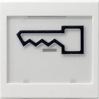 Gira Wippe 021803 abtastbar Symbol Tuer Sys55 rw